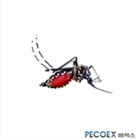 3. 작은빨간집모기(Culex tritaenior-hynchus)