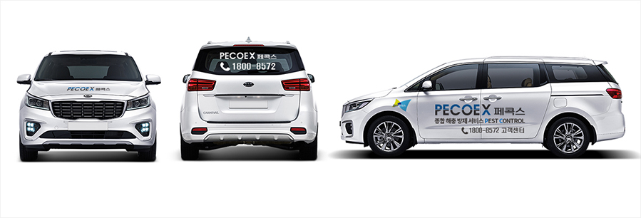 PECOEX 페콕스 CLEAN ZONE 전문 해충 방제서비스 고객센터 1800-8572